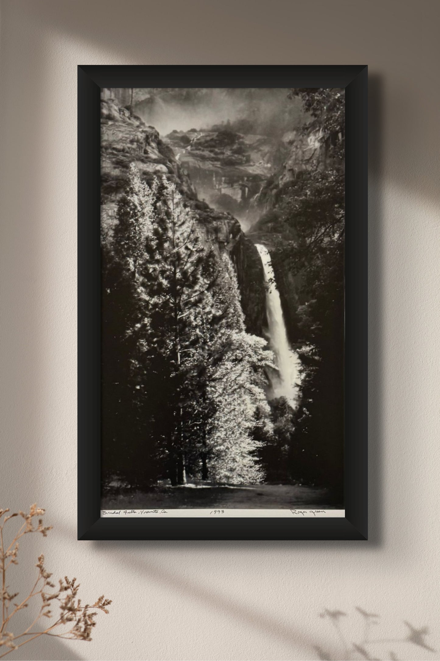 This Black and White photograph is 12 1/4 x 20 1/2 inches on a 16 x 20 inch archival matboard.  Captured in Yosemite Valley during the springtime when the water flows  heavily over the falls.  The upper mountain is shrouded in mist and the trees below are highlighted exuding luminance to the entire scene.  Just beautiful.  The photo is ready for your choice of frame.  Mounted, matted and foamboard backing are all archival.