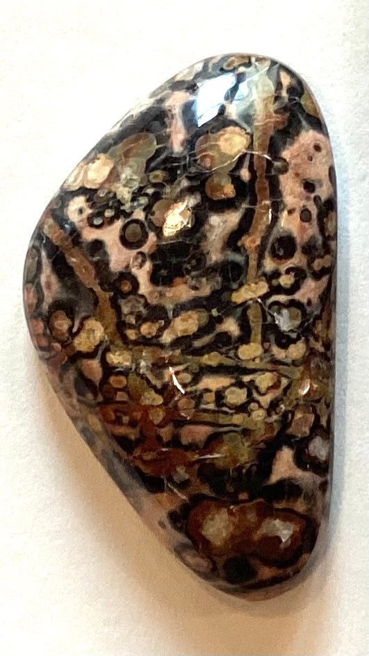 Leopard Jasper 2